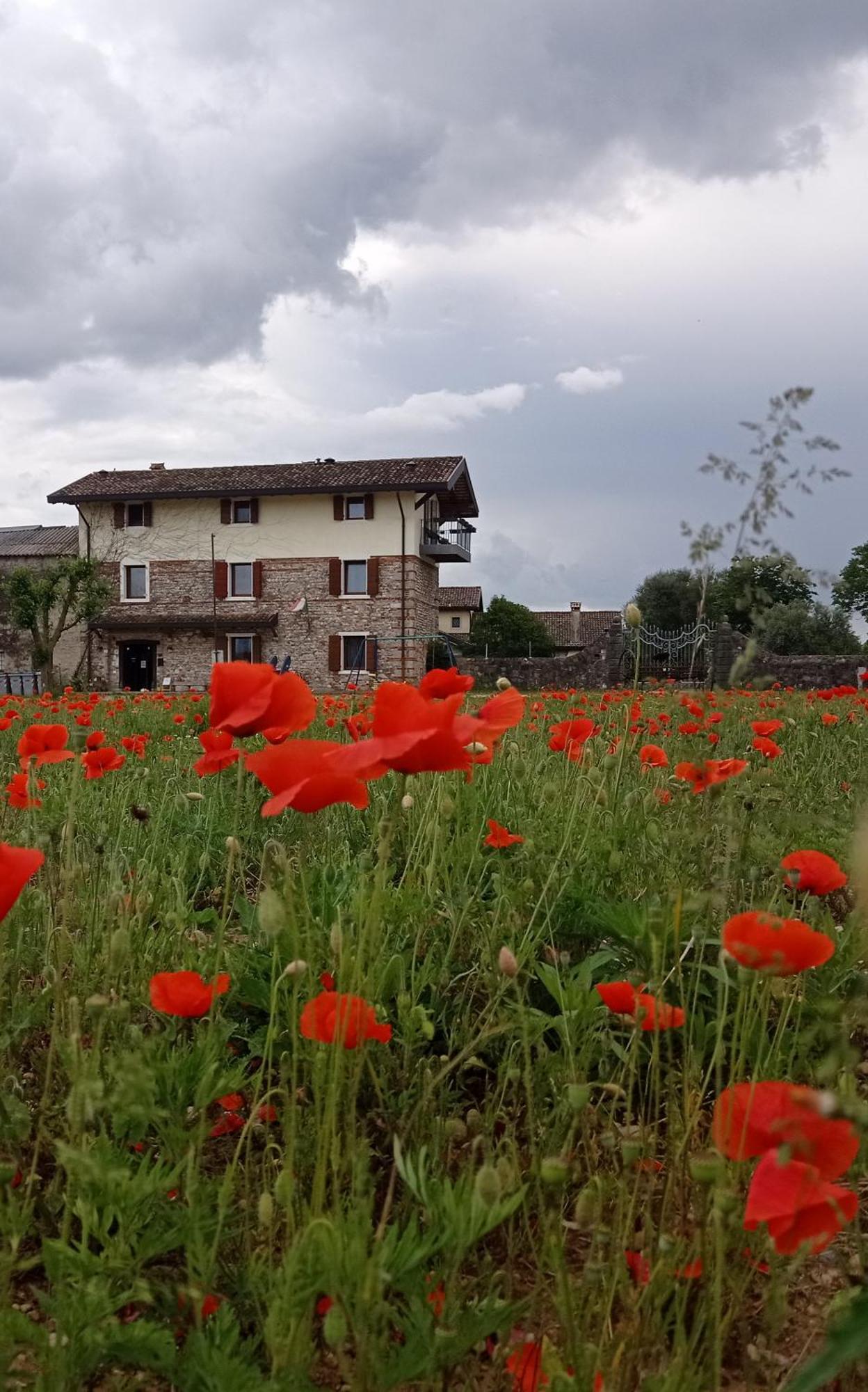 Casal Micelio Villa Udine Luaran gambar